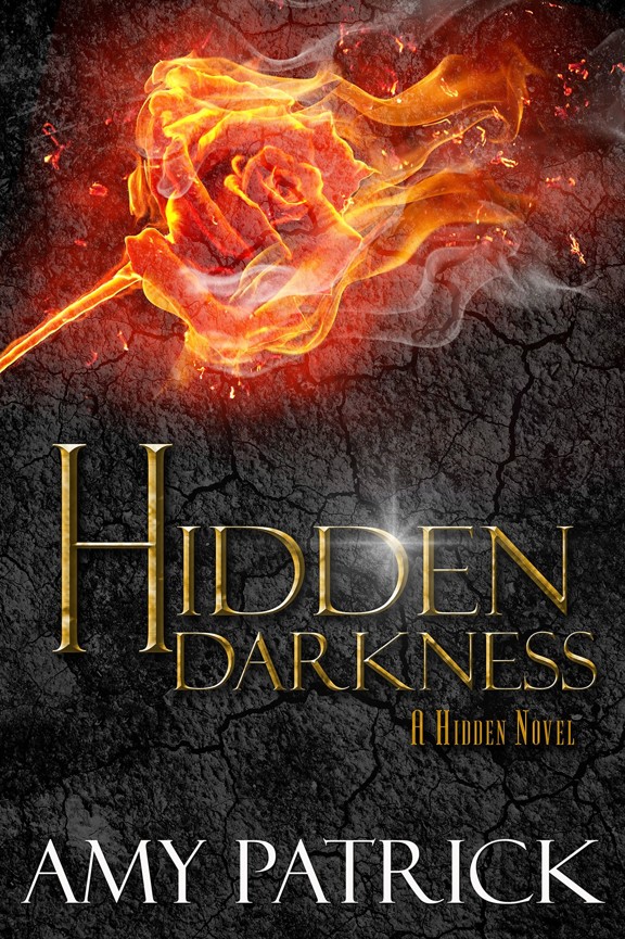 Hidden Darkness (Hidden Saga Book 4) by Amy Patrick