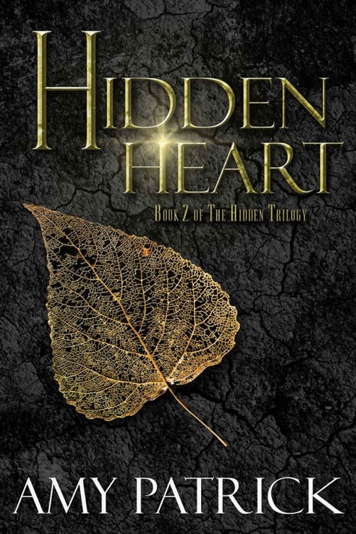 Hidden Heart