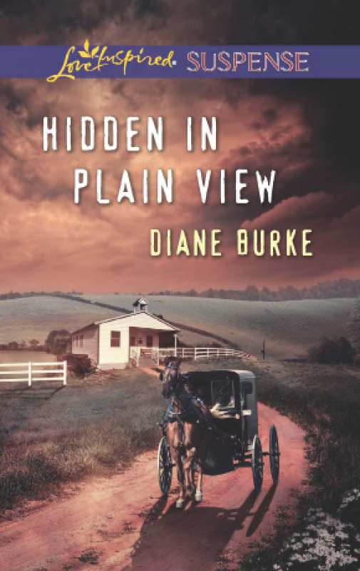 Hidden in Plain View (2012)