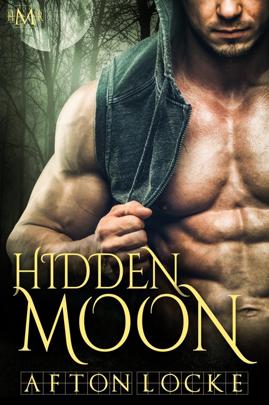 Hidden Moon (Hot Moon Rising #4) by Afton Locke