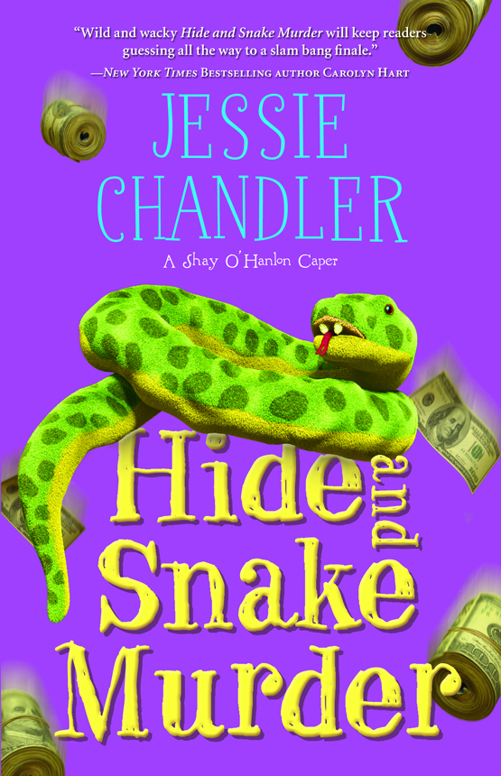 Hide and Snake Murder (2012)