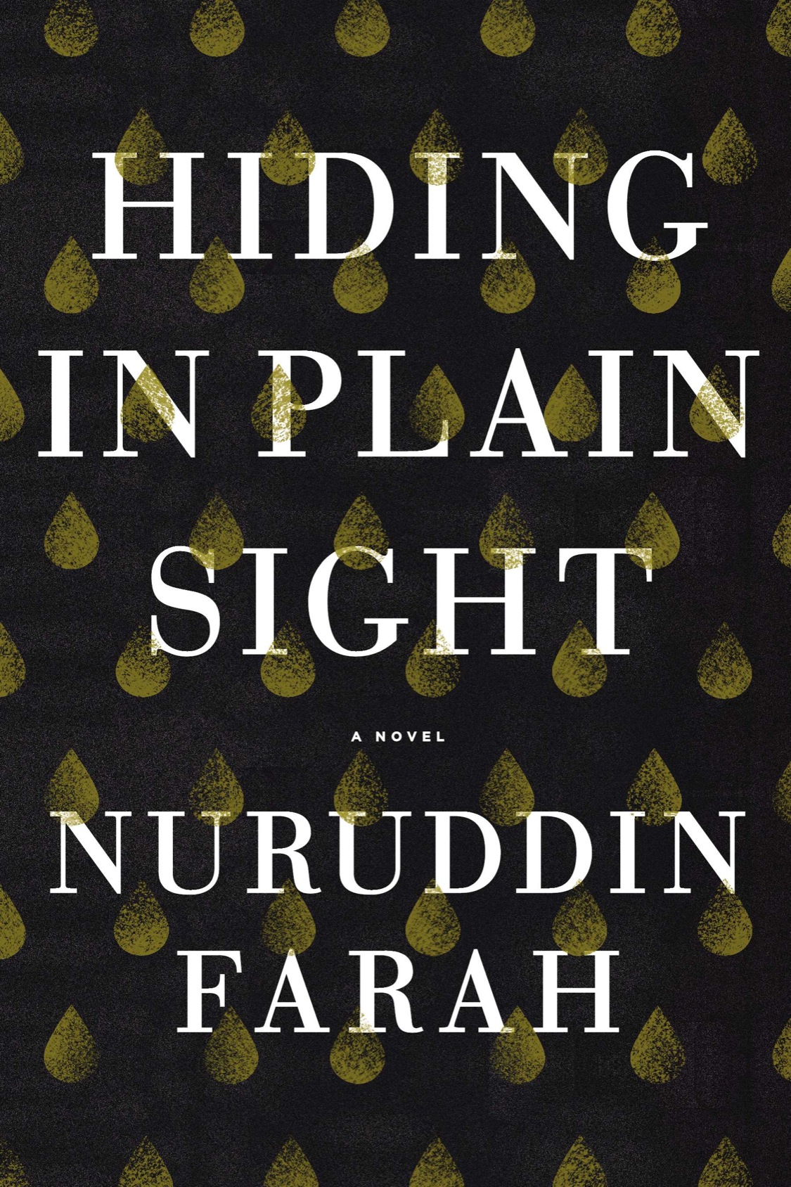 Hiding in Plain Sight (2014) by Nuruddin Farah