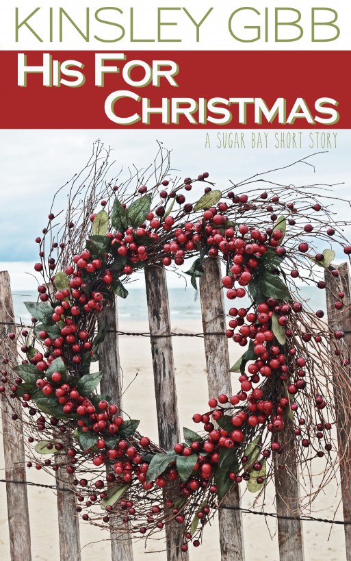 His For Christmas by Kinsley Gibb