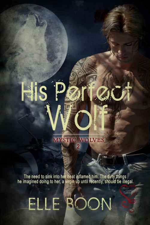 His Perfect Wolf (Mystic Wolves Book 2) by Elle Boon