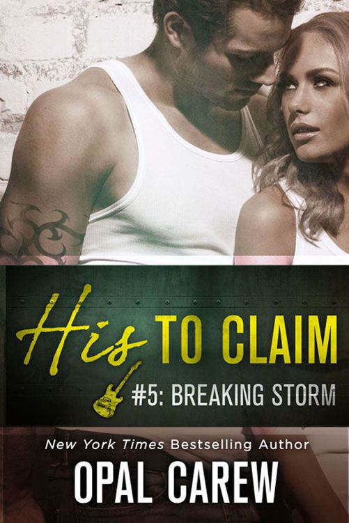 His to Claim #5: Breaking Storm by Opal Carew