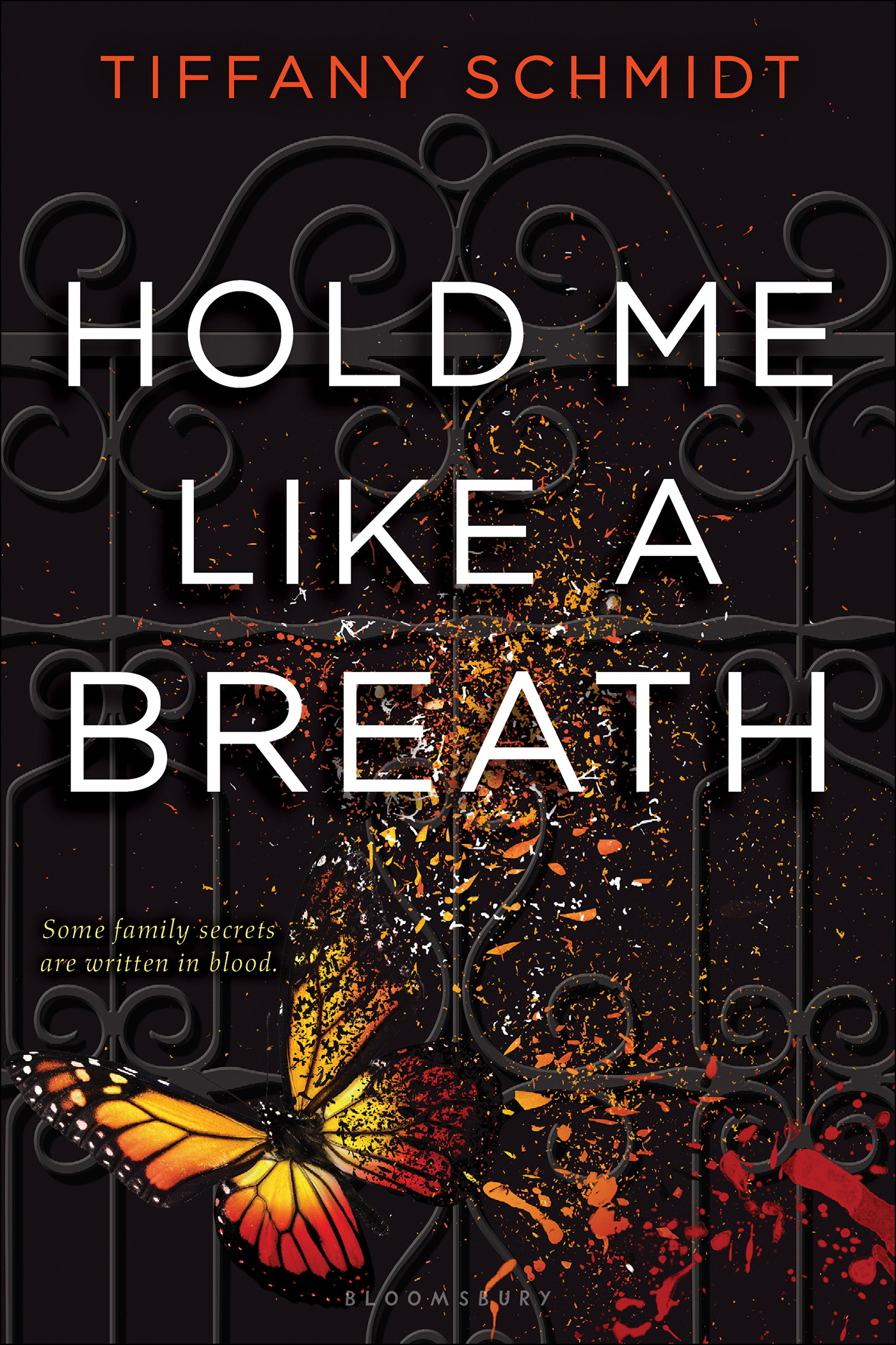 Hold Me Like a Breath (2015) by Tiffany Schmidt