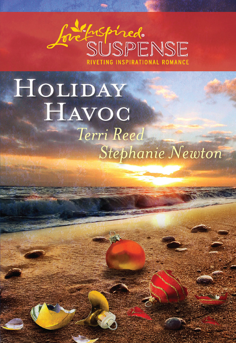 Holiday Havoc (2010) by Terri Reed