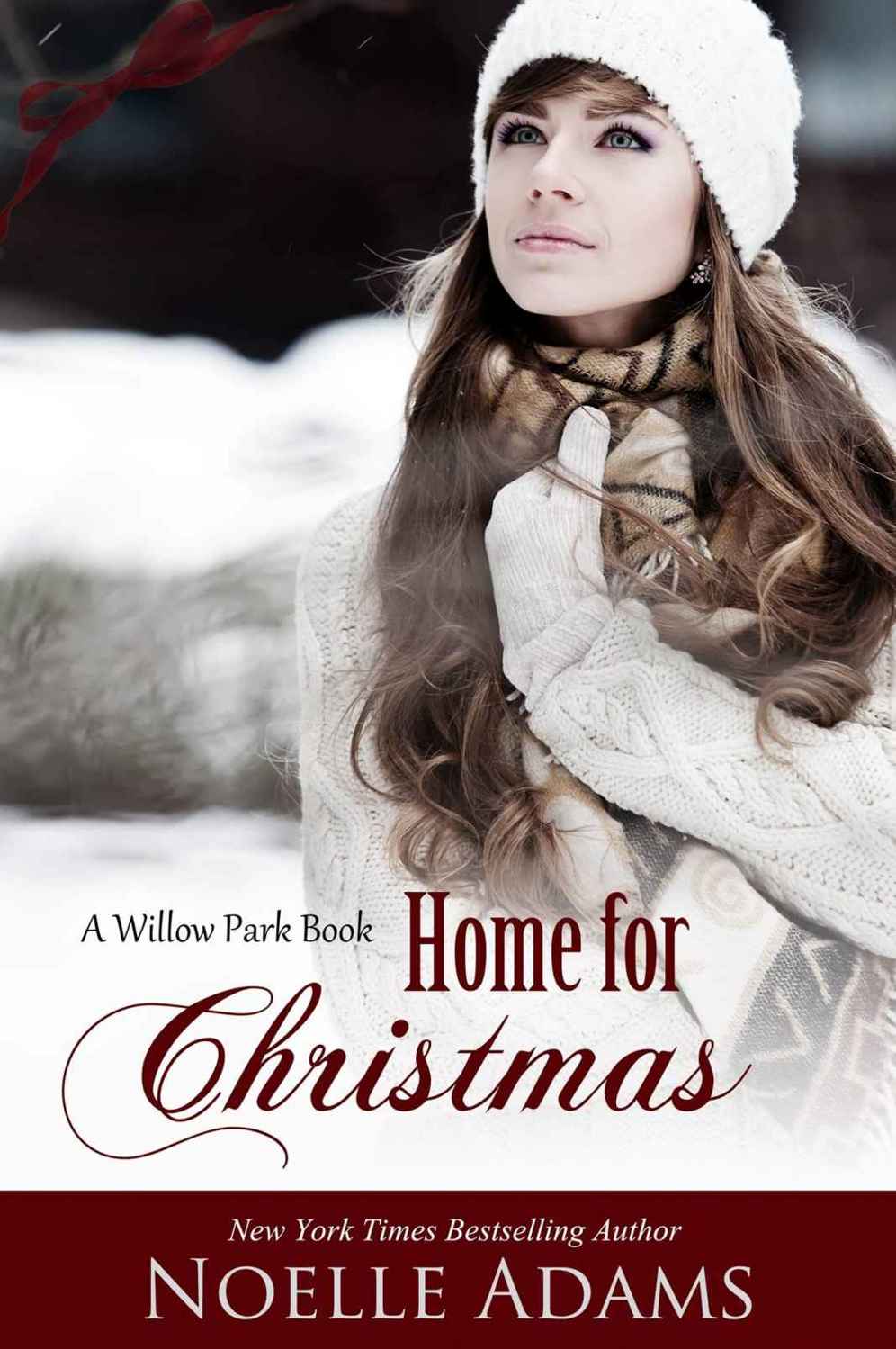 Home for Christmas (Willow Park #5) by Noelle  Adams