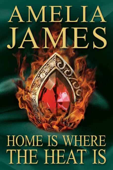 Home Is Where the Heat Is by James, Amelia