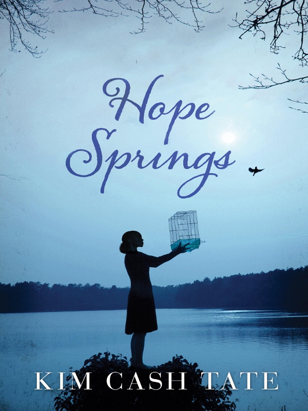 Hope Springs (2012) by Kim Cash Tate