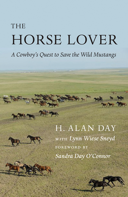 Horse Lover (2013) by H. Alan Day