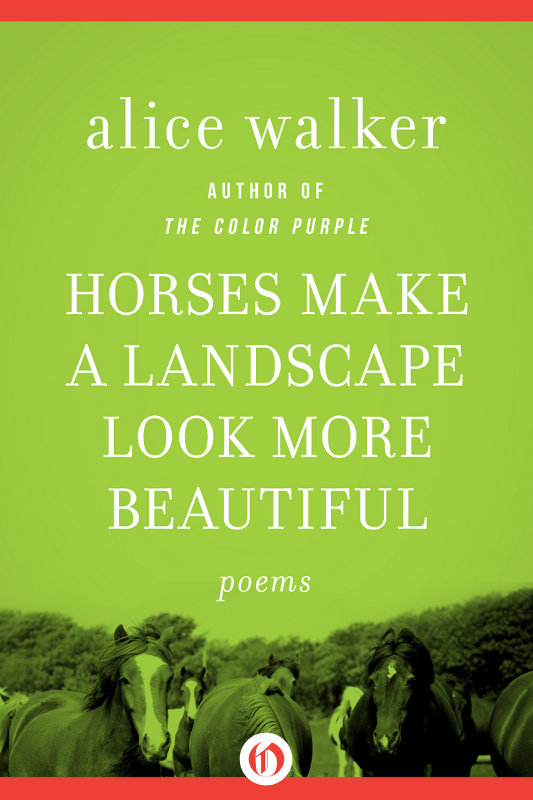 Horses Make a Landscape Look More Beautiful (2011) by Alice Walker