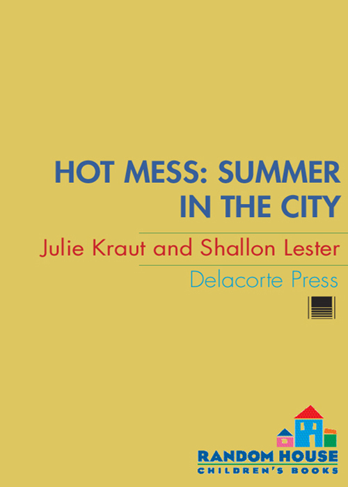 Hot Mess (2008) by Julie Kraut