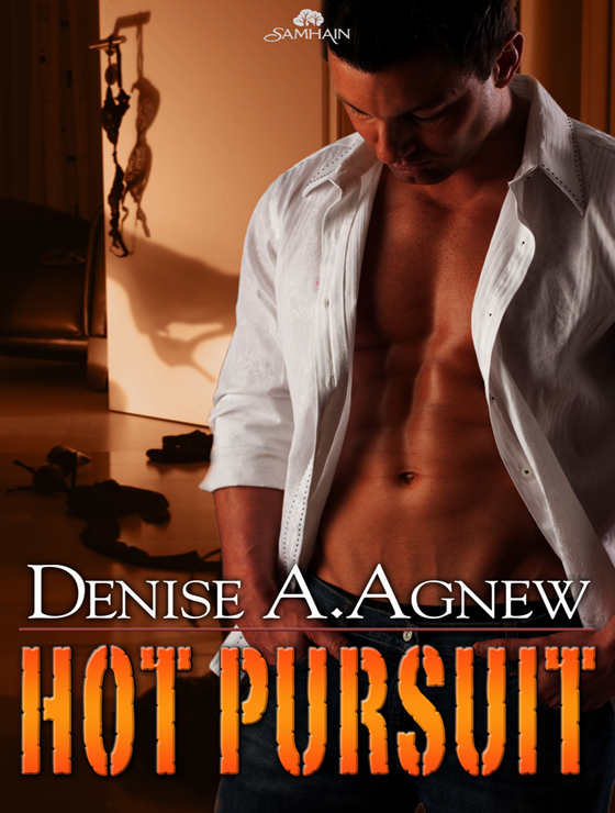 Hot Pursuit: Hot Zone, Book 5 (2011) by Denise A. Agnew