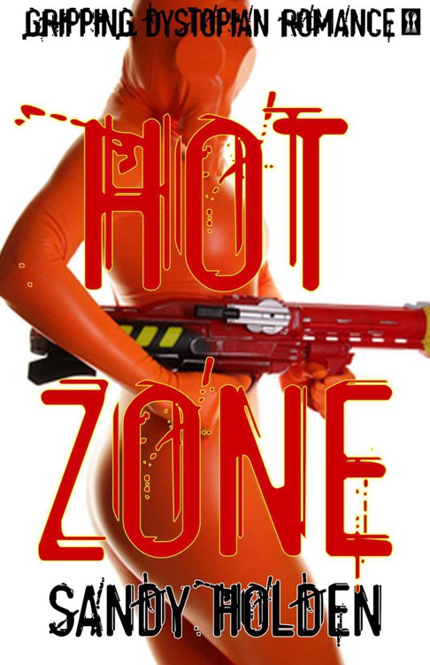 Hot Zone by Sandy Holden