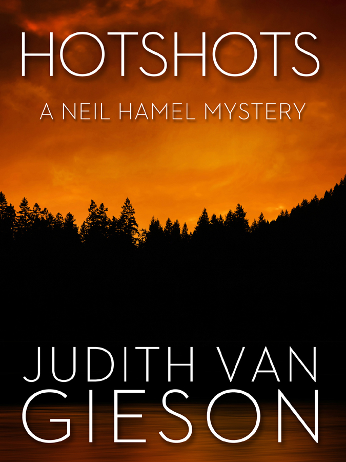 Hotshots (2013) by Judith Van Gieson