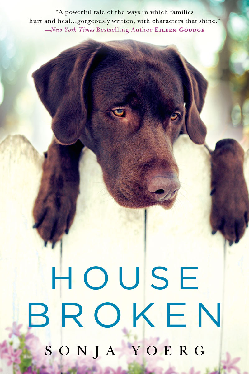 House Broken (2014) by Sonja Yoerg