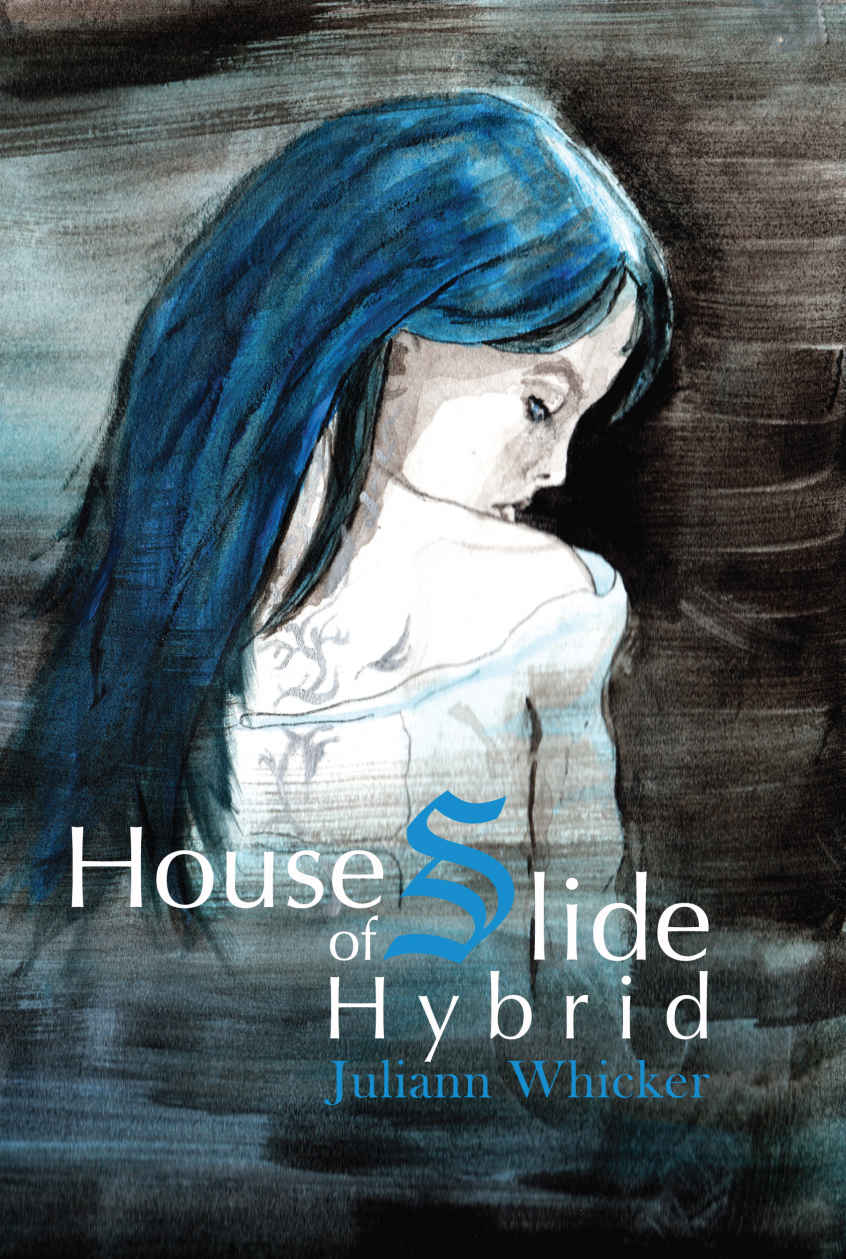 House of Slide Hybrid by Juliann Whicker