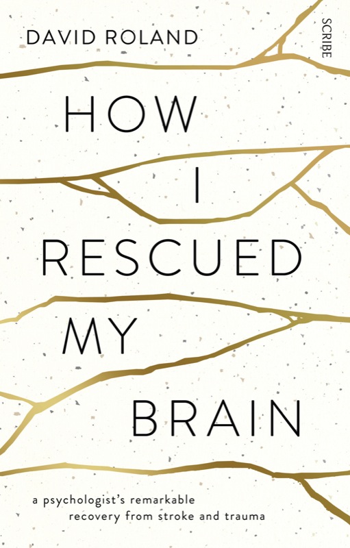 How I Rescued My Brain (2014) by David Roland