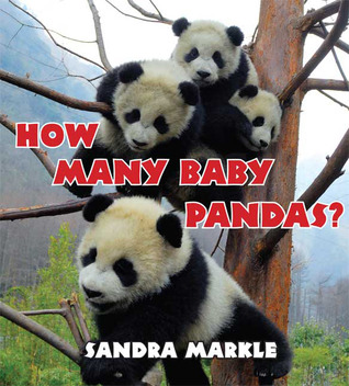 How Many Baby Pandas? (2009) by Sandra Markle