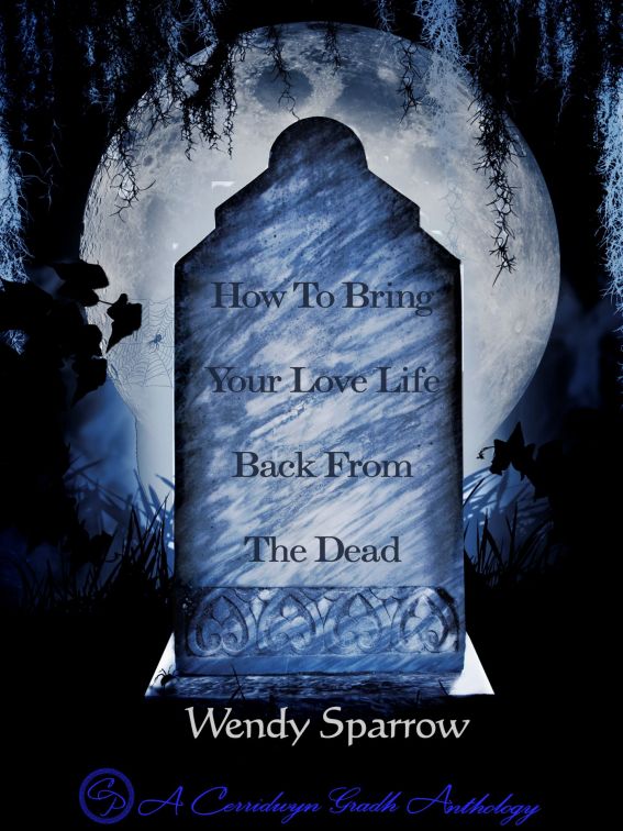 How To Bring Your Love Life Back From The Dead by Wendy Sparrow