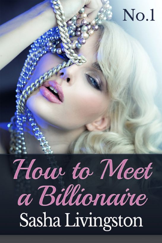 How to Meet a Billionaire: Part 1 (BBW BDSM Erotica) by Sasha Livingston