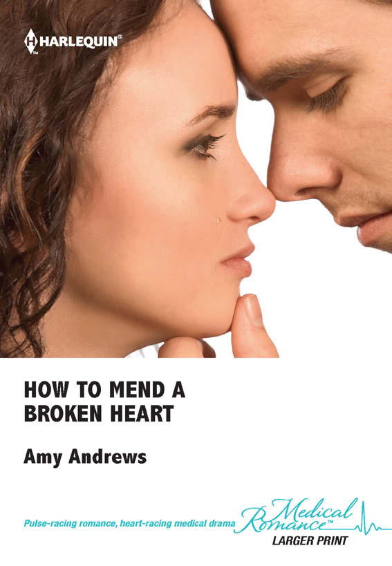 How To Mend A Broken Heart (2012) by Amy Andrews