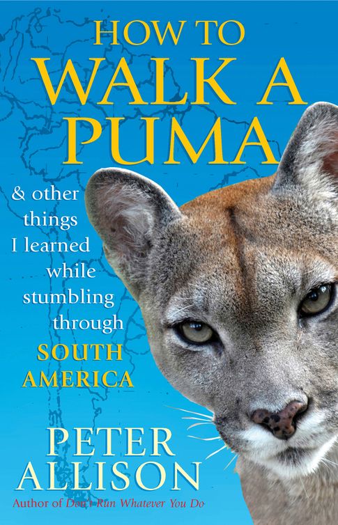 How to Walk a Puma (2011)