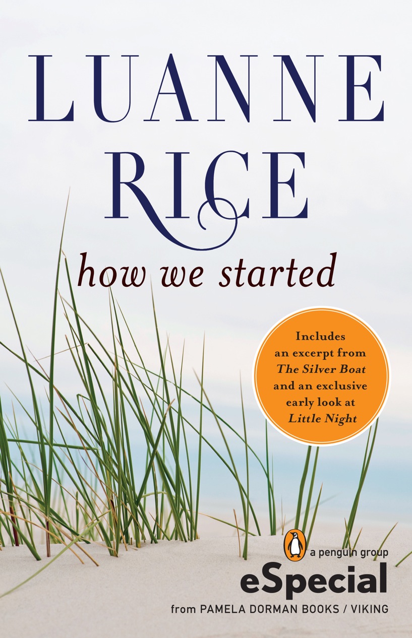 How We Started (2012) by Luanne Rice