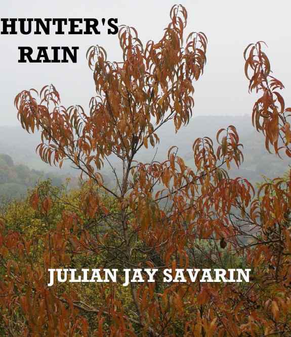 Hunter's Rain by Julian Jay Savarin