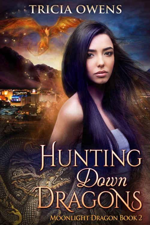 Hunting Down Dragons (Moonlight Dragon #2) by Tricia Owens