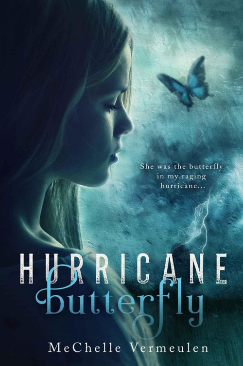 Hurricane Butterfly by Vermeulen, Mechelle