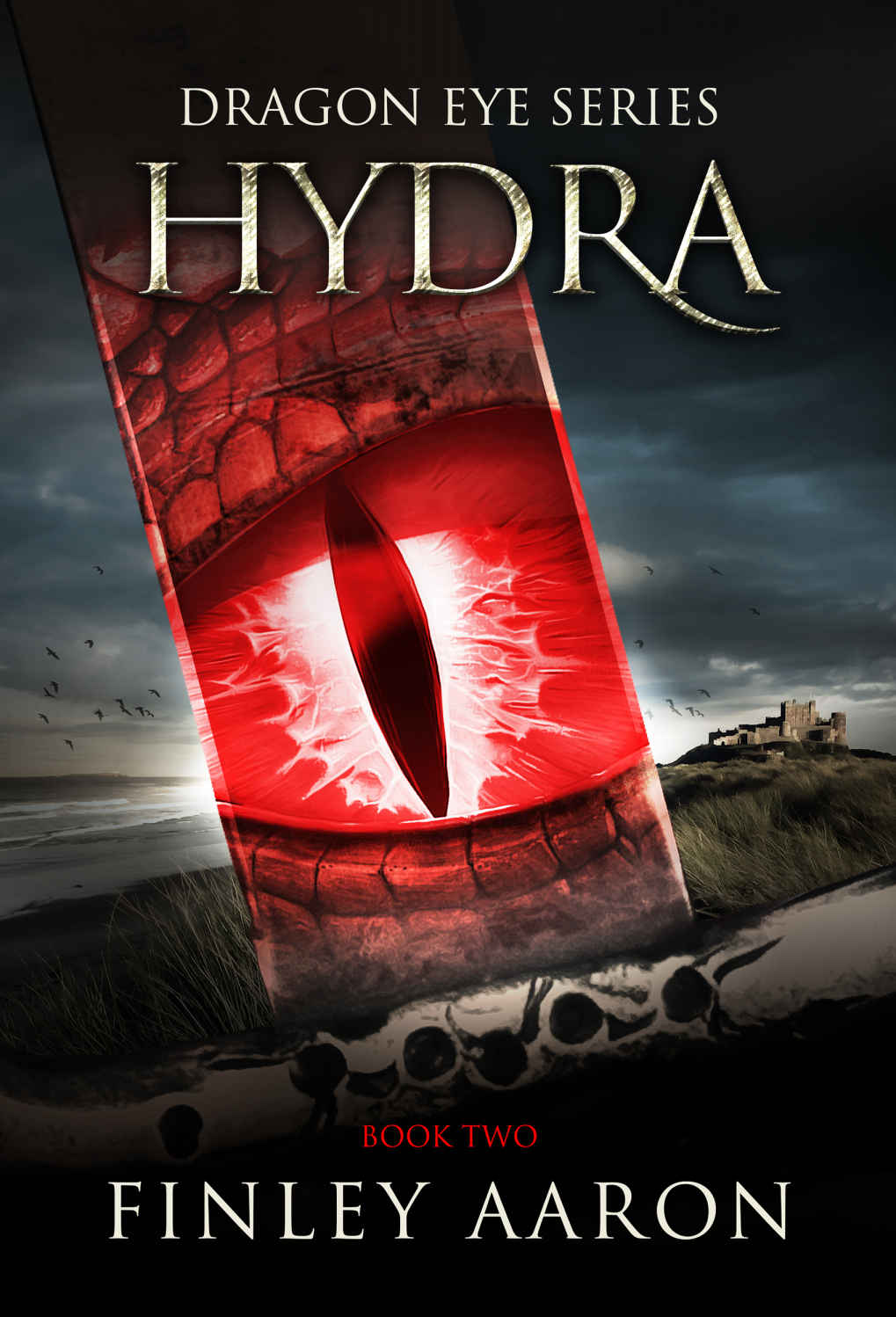 Hydra by Finley Aaron