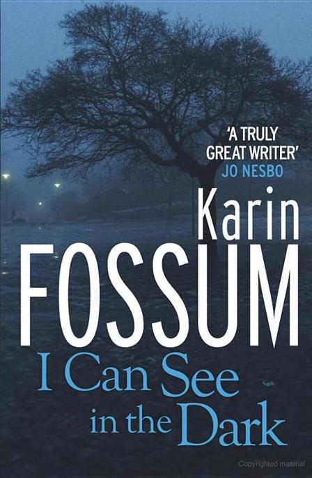 I Can See in the Dark by Karin Fossum