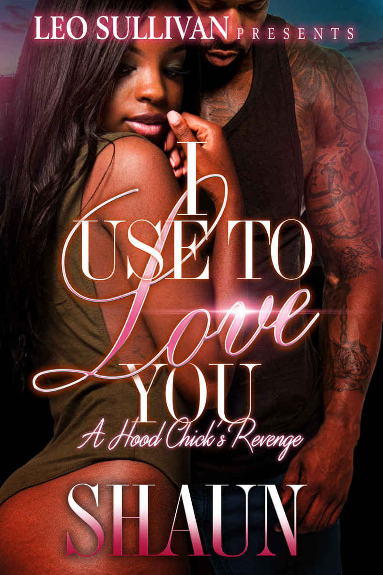 I Use To Love You: A Hood Chick's Revenge by Wanzo, Shaun