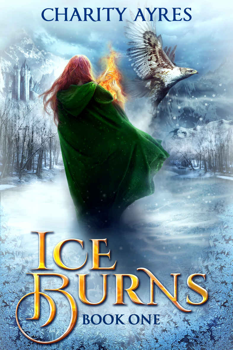 Ice Burns by Charity Ayres