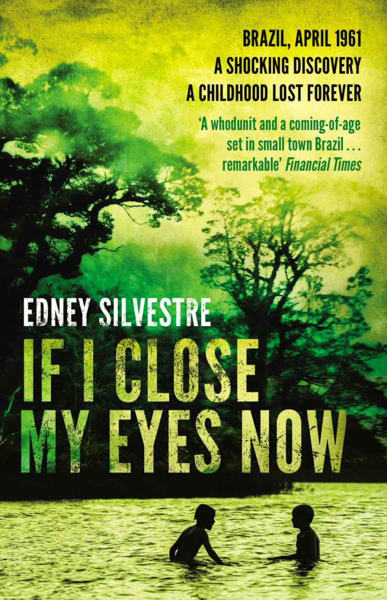 If I Close My Eyes Now (2013) by Silvestre, Edney