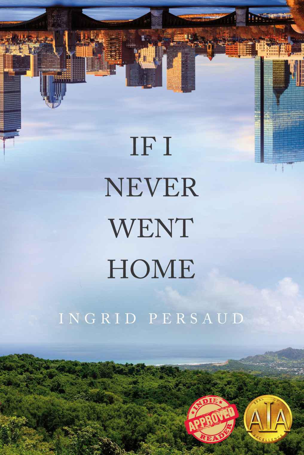 If I Never Went Home by Ingrid Persaud