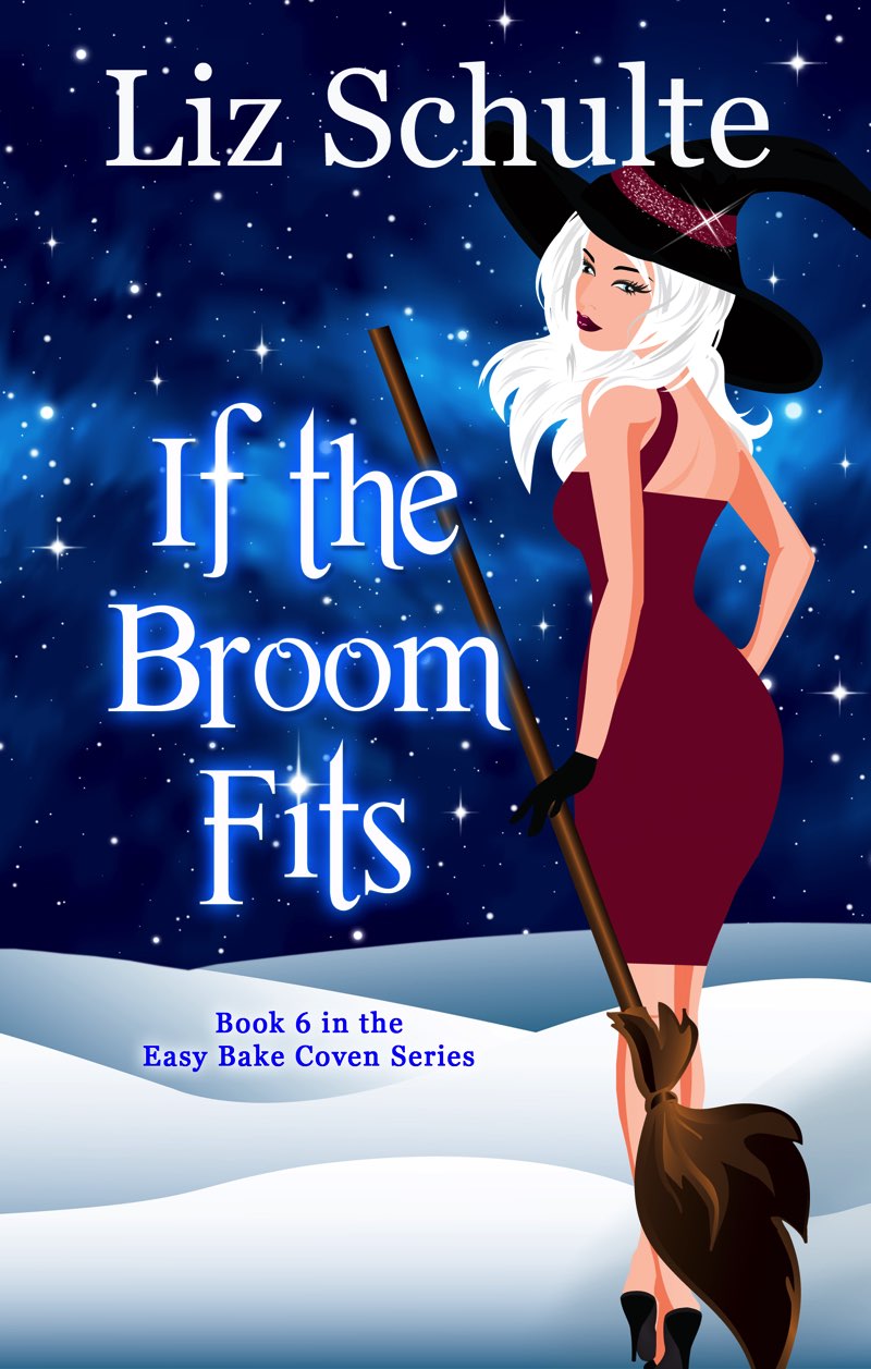 If the Broom Fits by Liz Schulte