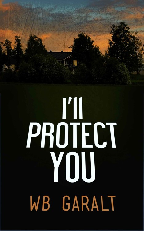 I'll Protect You (Clueless Resolutions Book 1) by W B Garalt