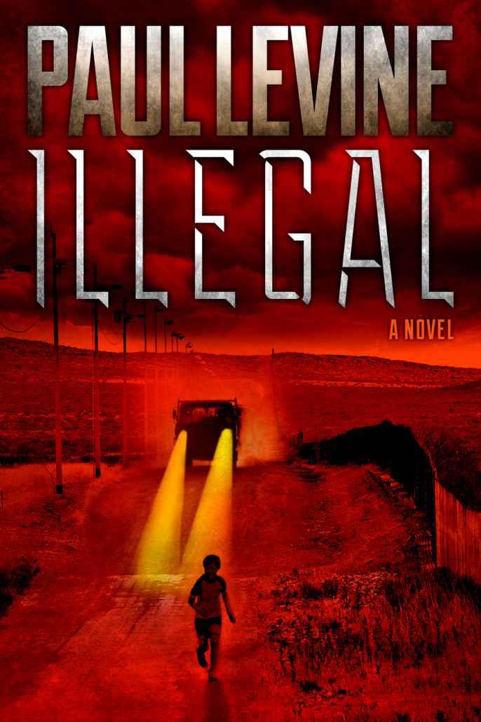 Illegal by Paul Levine