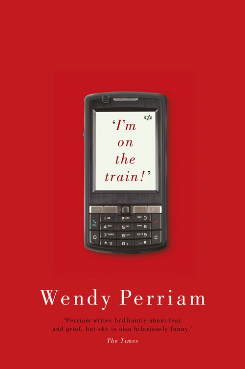 I'm on the train! (2012) by Wendy Perriam