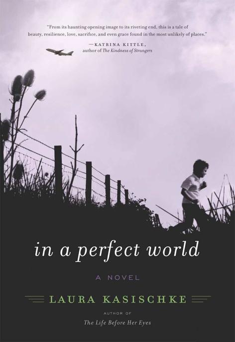 In a Perfect World by Laura Kasischke