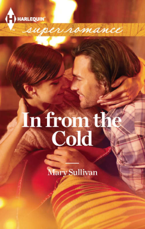 In from the Cold (2012) by Mary  Sullivan