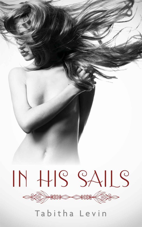 In His Sails by Levin, Tabitha