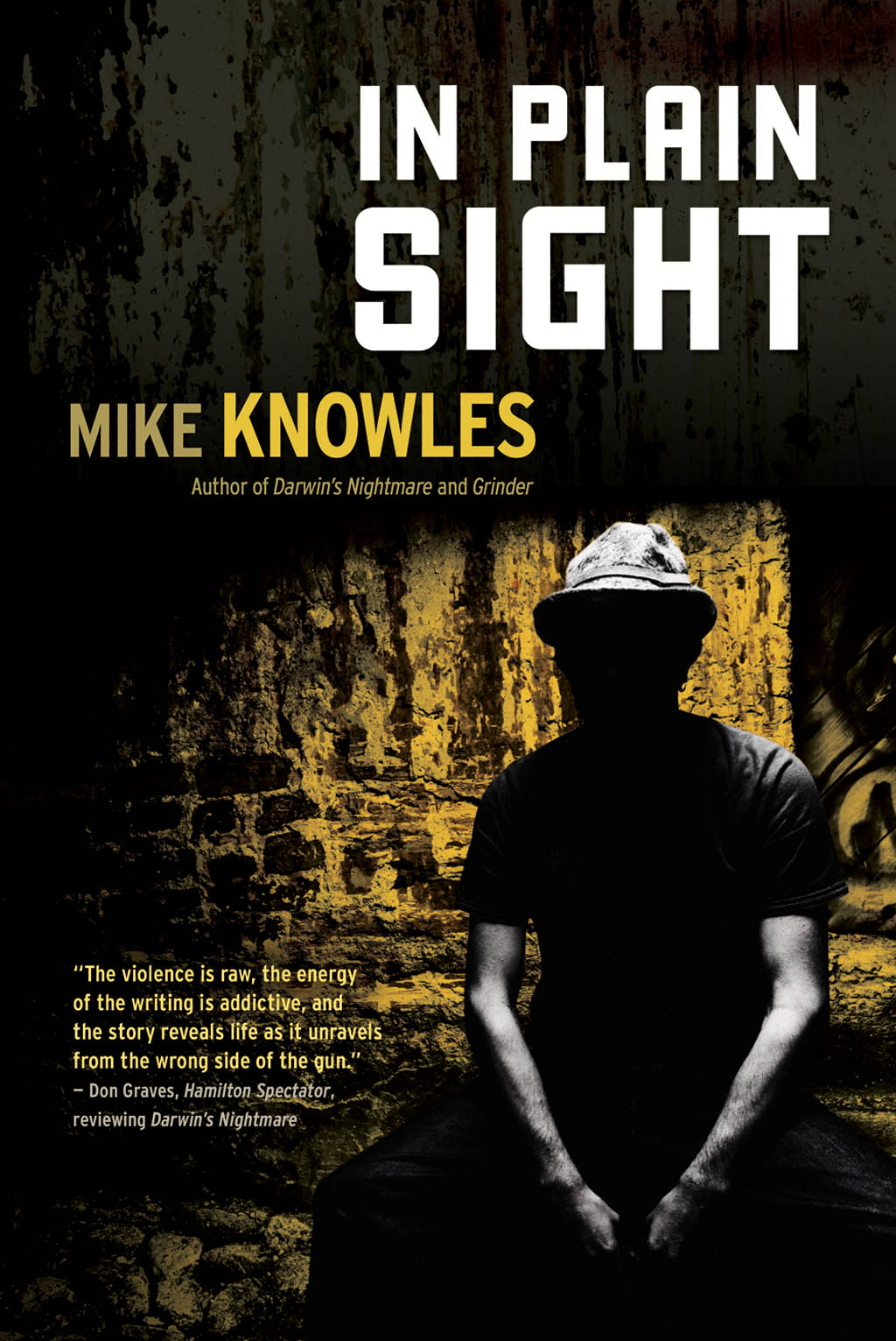 In Plain Sight by Mike Knowles