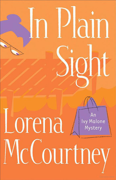 In Plain Sight by Lorena McCourtney