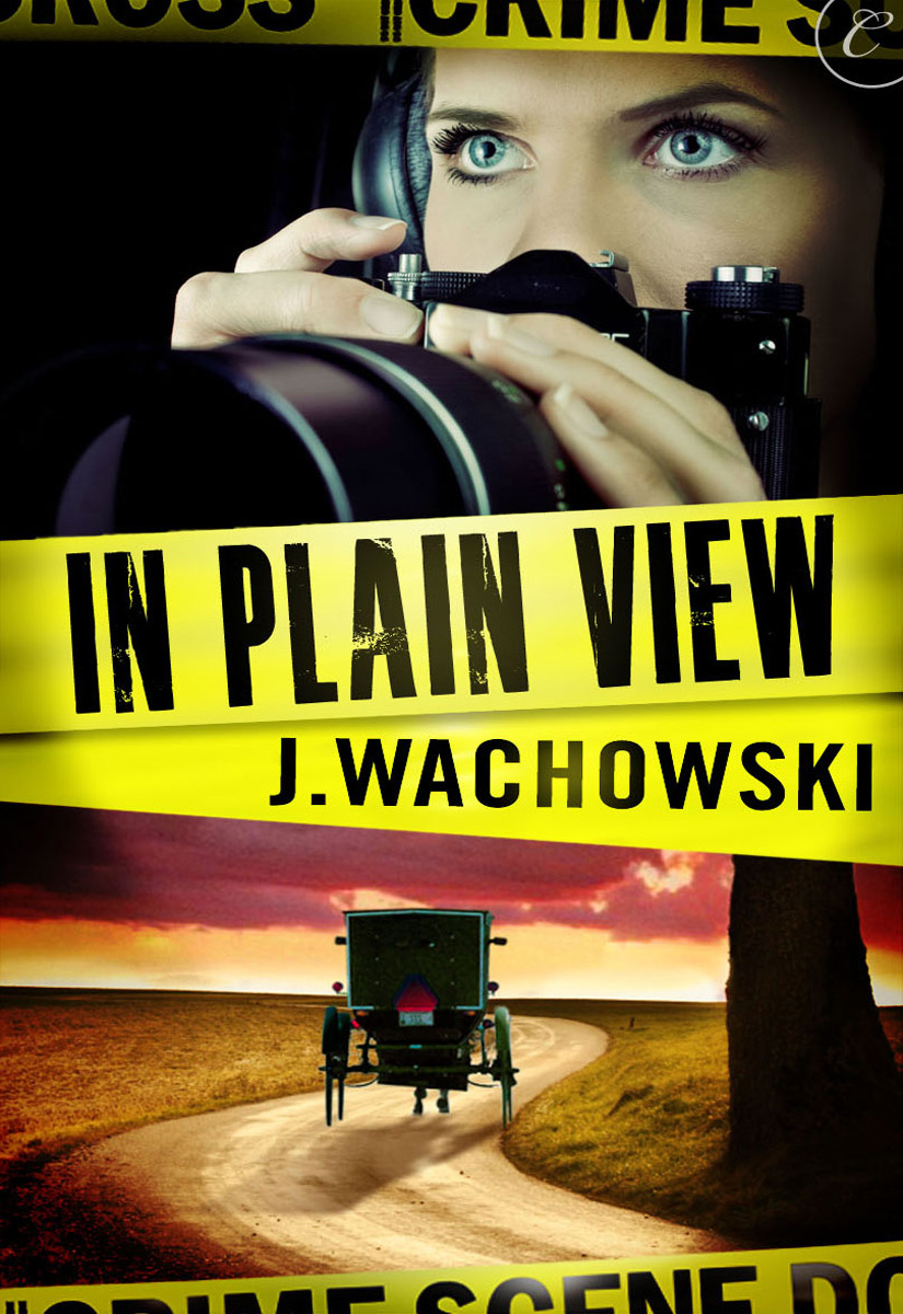 In Plain View by J. Wachowski