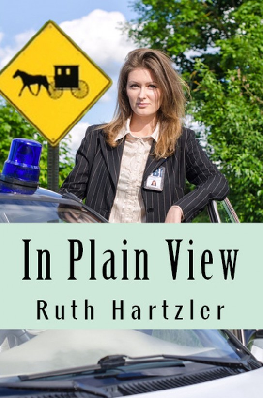 In Plain View (Amish Safe House, Book 2)