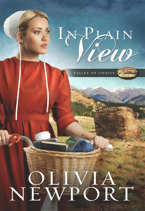 In Plain View by Olivia Newport